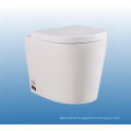 Ceramic Wall Hang Toilet Wc For New Toilet